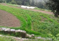 Agricultlural-activities-in-harmony-with-nature